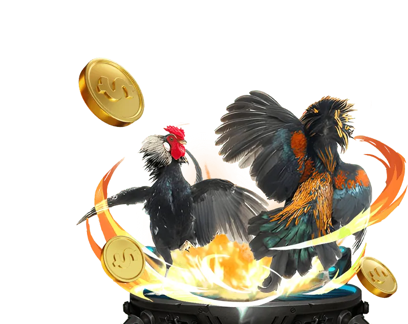 Đá gà Thomo tại 88aa đăng nhập