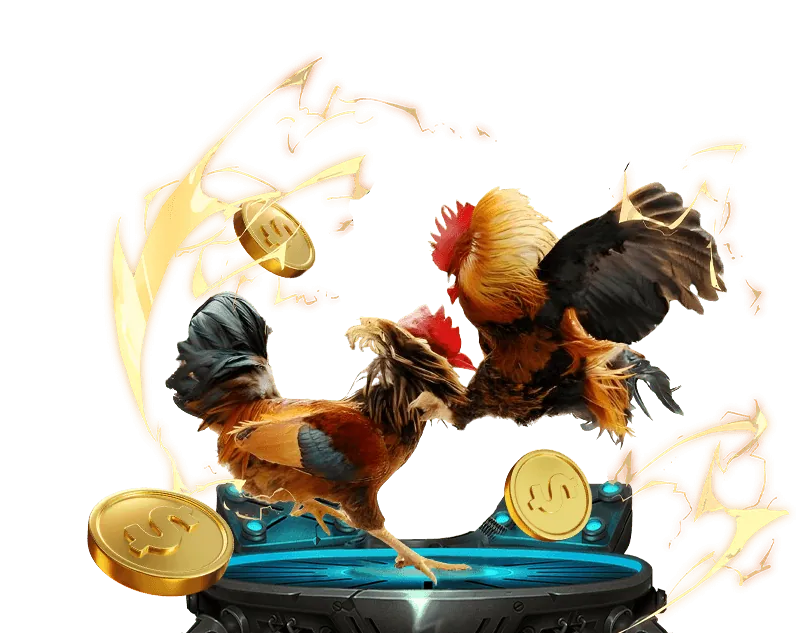 Hỗ trợ khách hàng 88aa 24/7